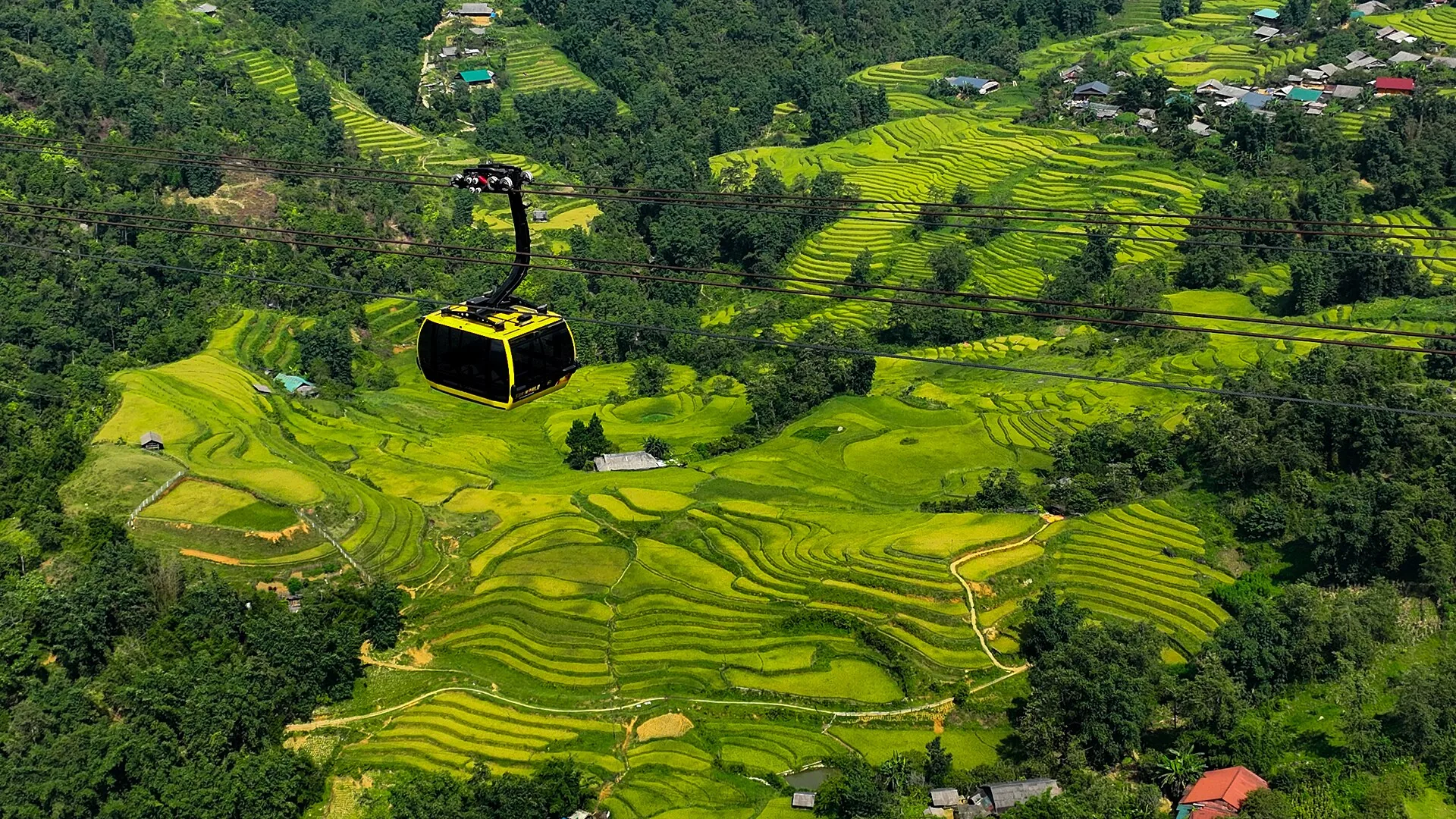 Rismarkerasser i det vietnamesiske landskab